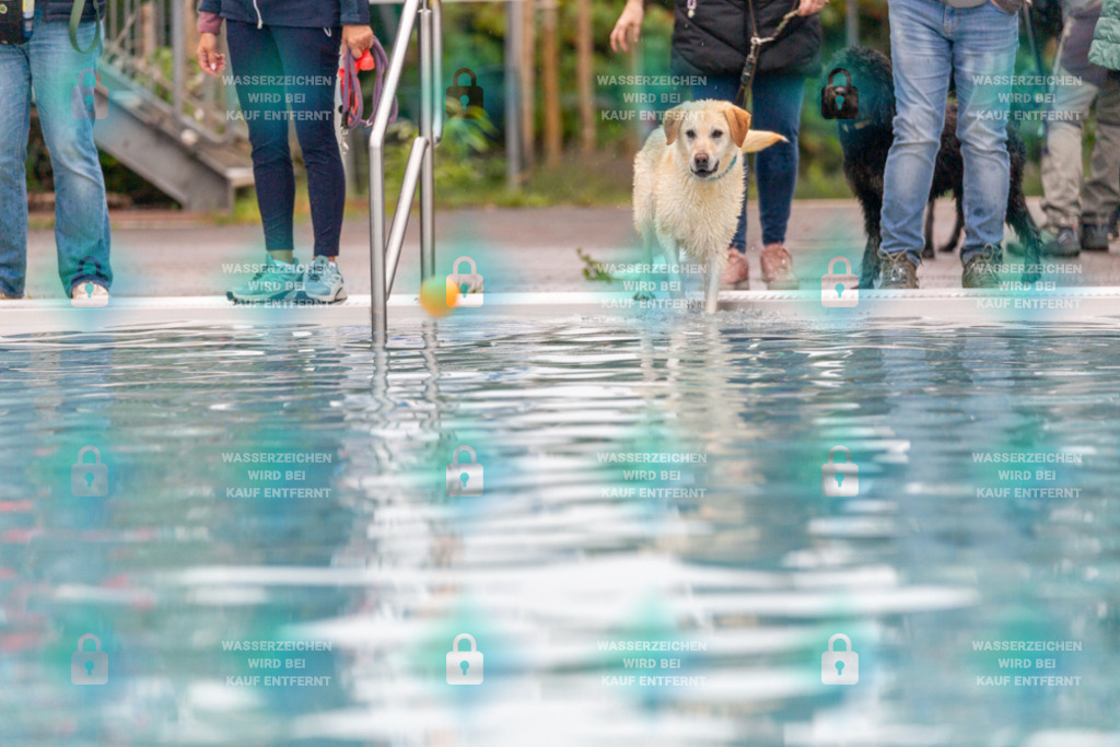 _HP_7160_1000o | HetPix, HetPix Fotodesign, Fotografie, Fotodesign, Webshop, Sportfotografie, Portraitfotografie, Onlineshop, Sportfotografie, Polch, Motorsportfotografie, Eventfotografie