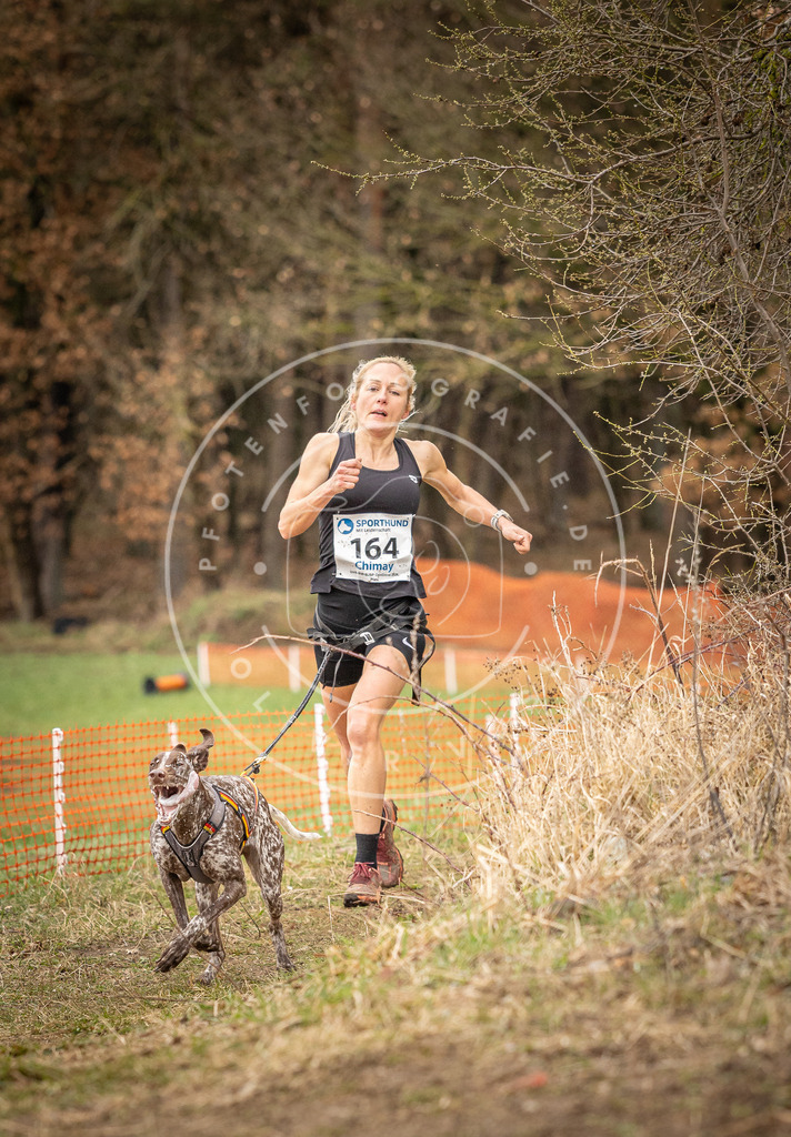 DV3A2034 | Hundefotografie, Tierfotograf, Pfotenfotografie, Fotoshooting Hund, Hunde Portrait, Hundesport, Hundeportraits, Heideshooting, Hunde, Sportfotograf, Hundefotograf, Turnierhundsport, THS,  - Realisiert mit Pictrs.com