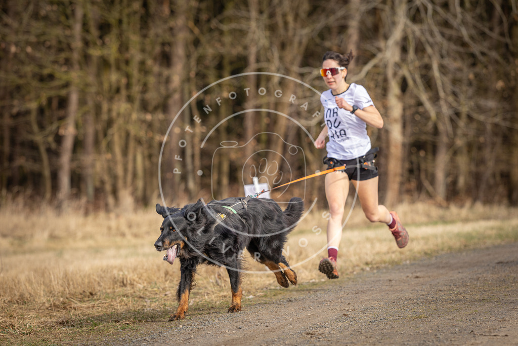 DV3A3634 | Hundefotografie, Tierfotograf, Pfotenfotografie, Fotoshooting Hund, Hunde Portrait, Hundesport, Hundeportraits, Heideshooting, Hunde, Sportfotograf, Hundefotograf, Turnierhundsport, THS,  - Realisiert mit Pictrs.com