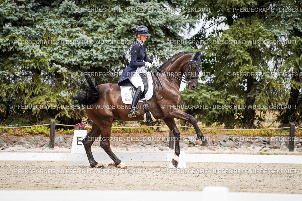 DSC06072 | Pferdegrafie