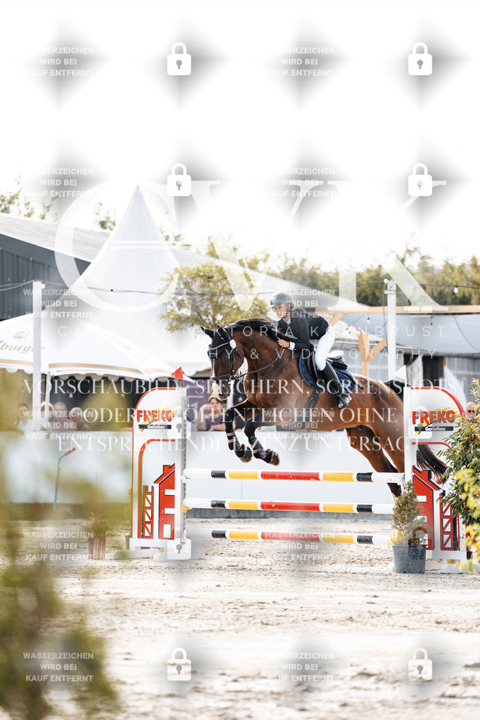 CK906378 | Turnierfotografie Pferdefotografie Trier Rheinland-Pfalz Pferdesport Reitsport Tierfotografie Sportfotografie Pferdevideo Pferdevideografie Equestrianvideography equestrianphotography  - Realisiert mit Pictrs.com