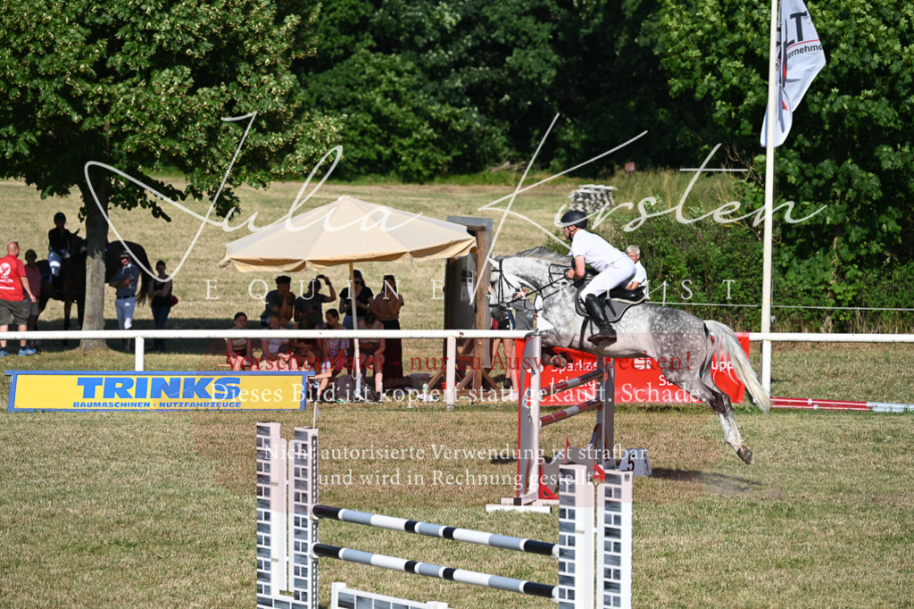 DSC_2571 | Pferde- und Turnierfotografie in Westsachsen. Pferdeportraits, Auftragszeichnungen und intuitive Kunst.