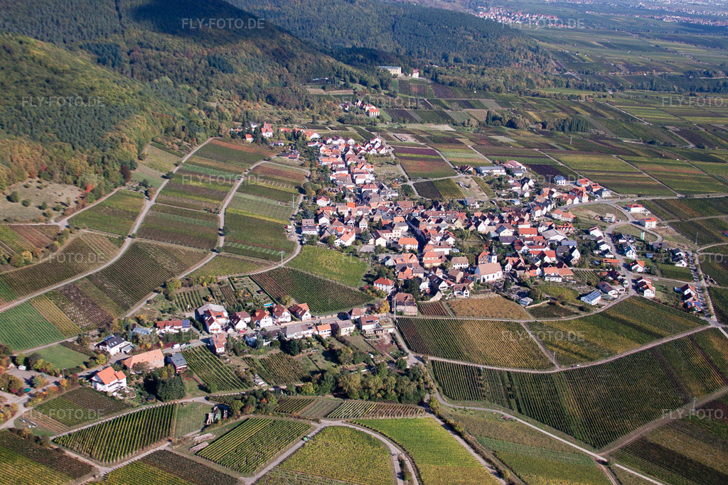 Luftbild: Weinbergen aus Süden in Weyher in der Pfalz im Bundesland Rheinland-Pfalz in Deutschland. Foto: IMG_22215.jpg vom 15.10.2009 durch Werner Riehm/FLY-FOTO.de