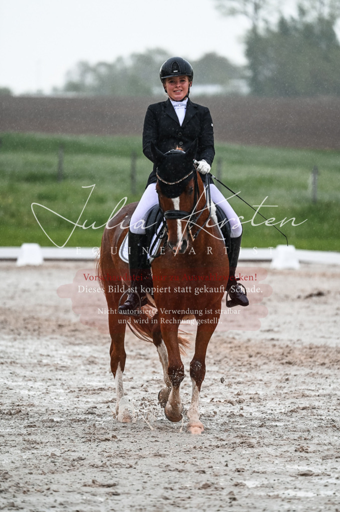 DSC_4612 | Pferde- und Turnierfotografie in Westsachsen. Pferdeportraits, Auftragszeichnungen und intuitive Kunst.