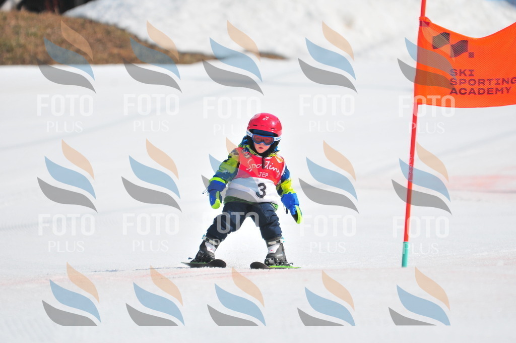 C0796 | holidayphoto