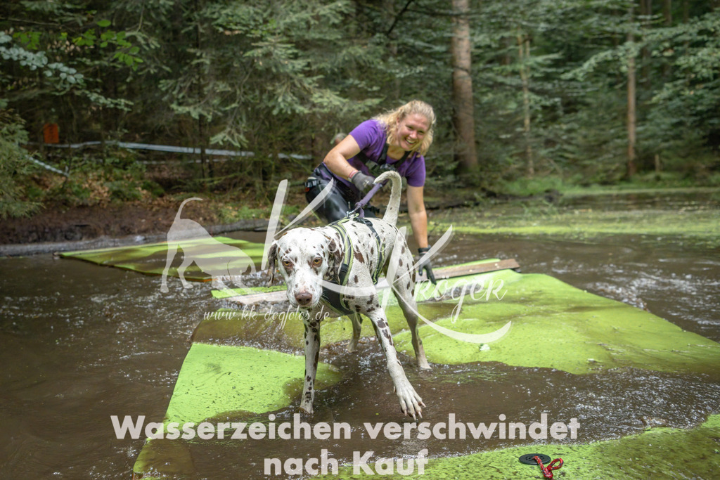 1530_ZZ91015-Bearbeitet | kk-dogfotos