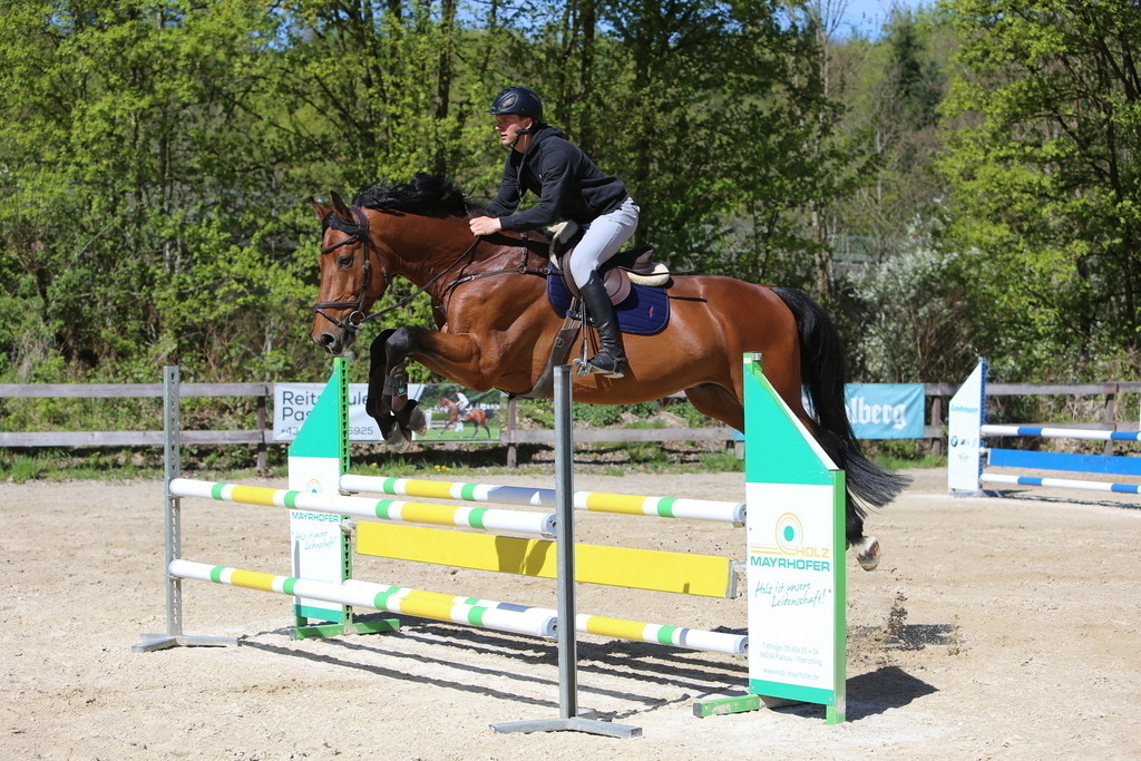 DL2Q3134 | Willkommen bei Brunnmayr - Design & Fotografie – Ihrem Spezialisten für Reitturniere und Pferdeveranstaltungen in Oberösterreich, Salzburg und Bayern! Seit über 17 Jahren sind wir leidenschaftlich dabei.