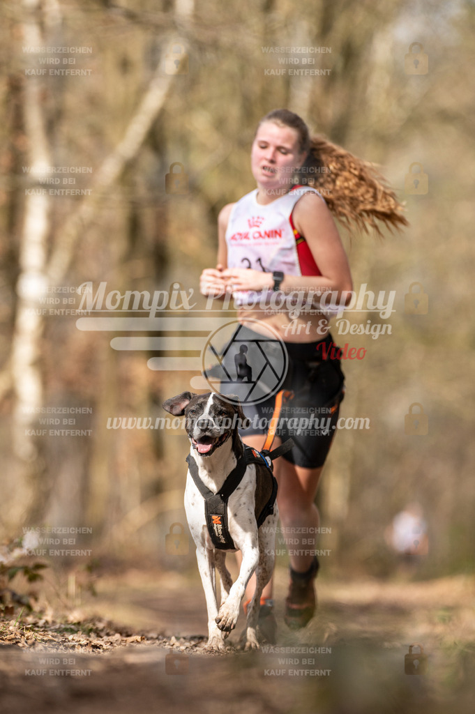 SPA_2023_SAM_CCL-151 | PayLife