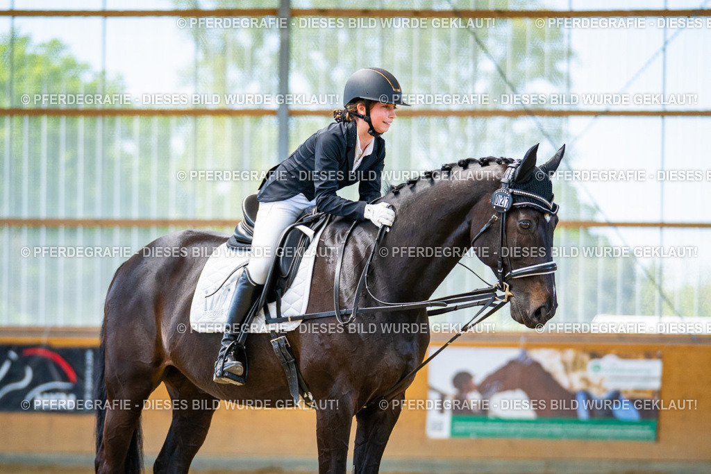 DSC09548 | Pferdegrafie