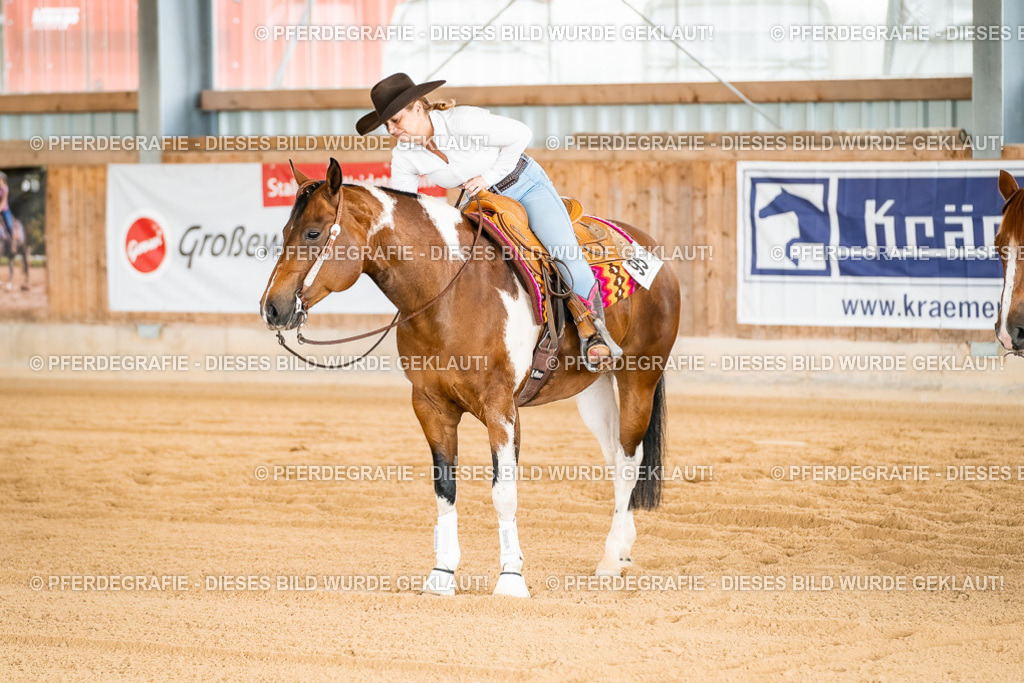 DSC02524 | Pferdegrafie