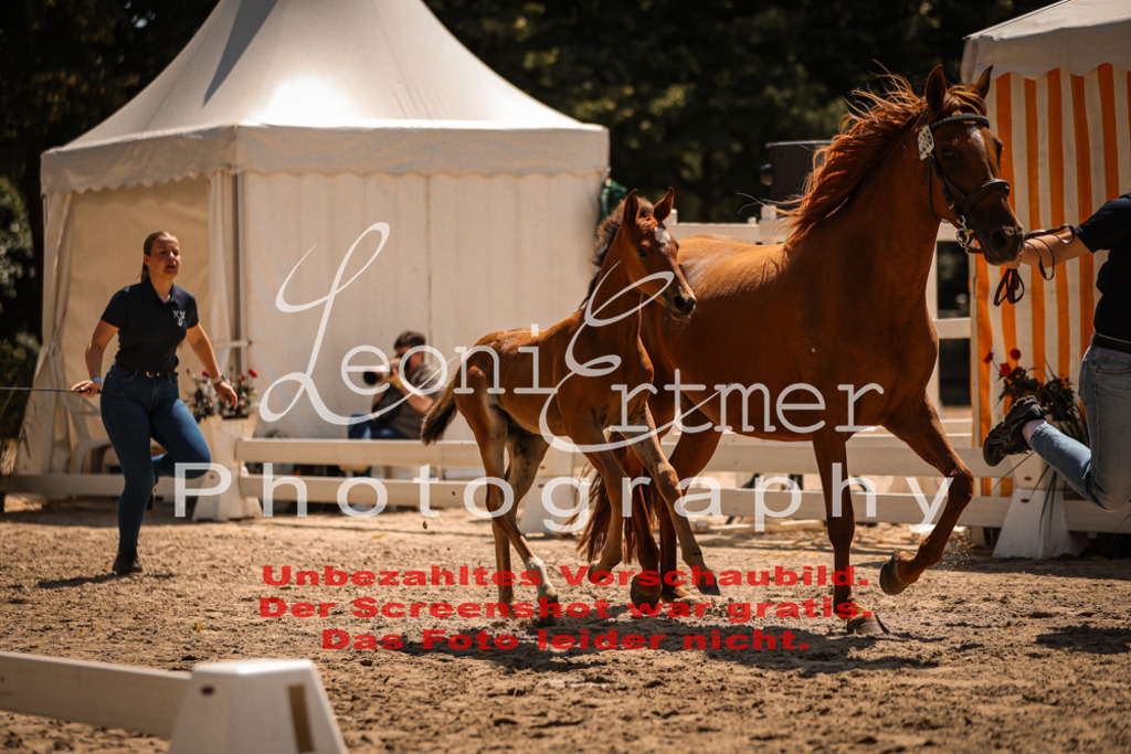 03.DoAB00060 | Leoni Ertmer Photography - Realisiert mit Pictrs.com