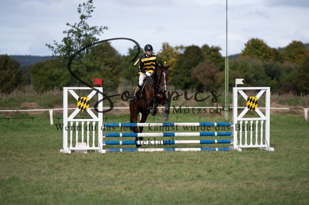 A7V06548 | Pferdefotograf