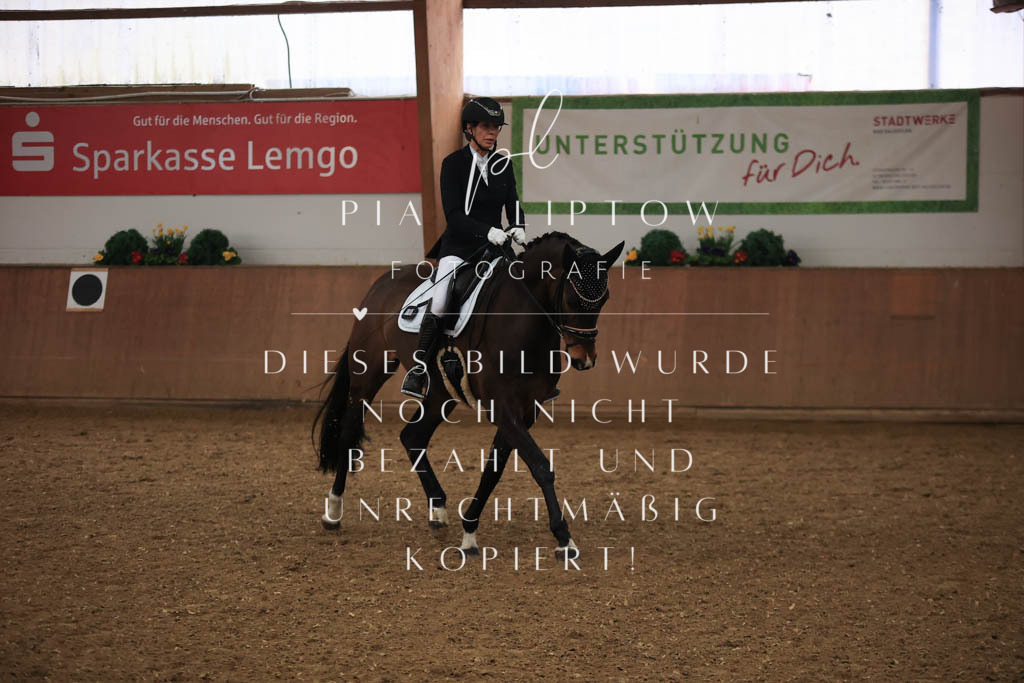 IMGT6814 | pl-fotografie