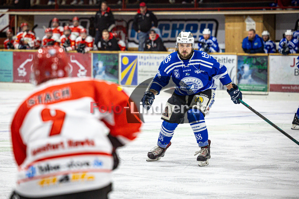 SC Forst NATURE BOYS gegen ESC Hassfurt HAWKS | Eishockey Landesliga Herren Playoffs 2024/25 - Spiel 2 von 4, SC Forst NATURE BOYS gegen ESC Hassfurt HAWKS, 20250222,Tobias ESTERMAIER (Nature Boyz 88) in Aktion,2025-02-22 in Peißenberg (Eisstadion Peißenberg)Tobias ESTERMAIER (Nature Boyz 88)Copyright: WolfgangxLindner foto-lindner.de
