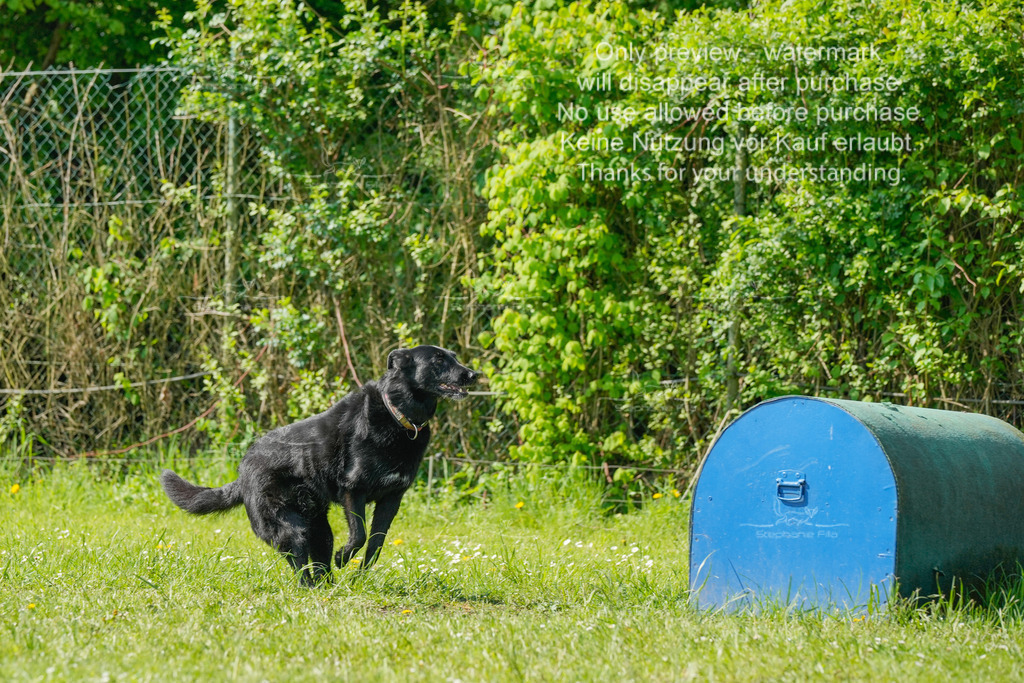 Sa_SprintVK_Gr2_03-44 | stephaniefillaphotographie - Realisiert mit Pictrs.com