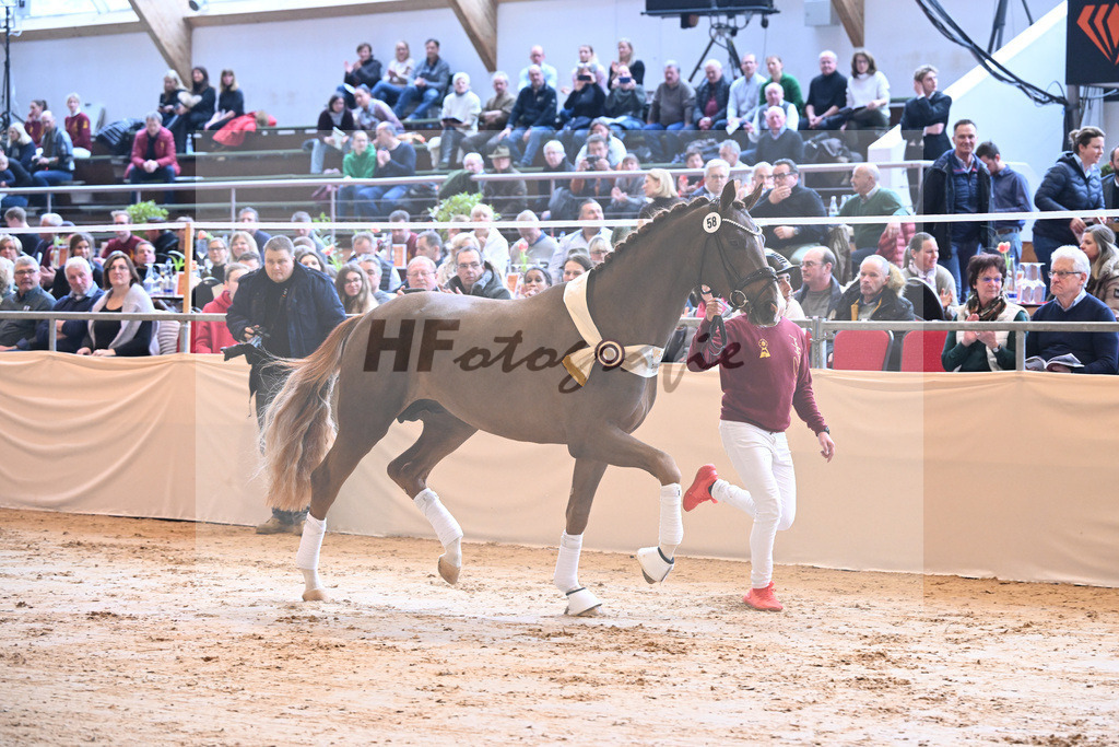 Kat-Nr. 58 Fuerst Samarant_Beckmann_1231949 | hf-fotografie - Realisiert mit Pictrs.com