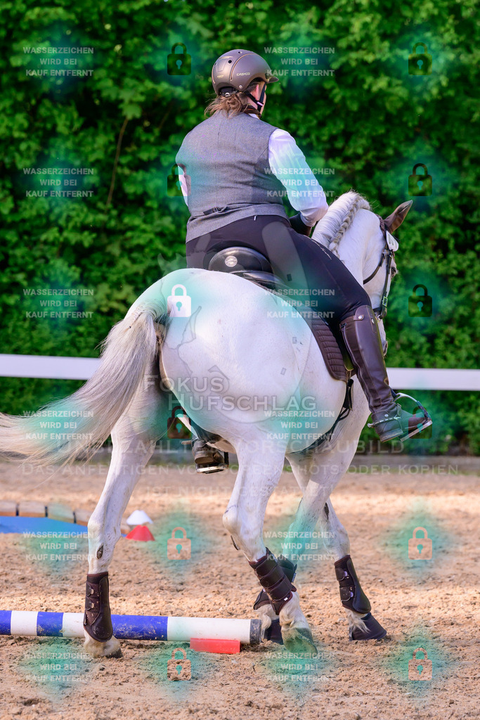 02052026-Giesenbach-03-Speedtrail-0798 | Fokus Hufschlag Fotografie - Realisiert mit Pictrs.com