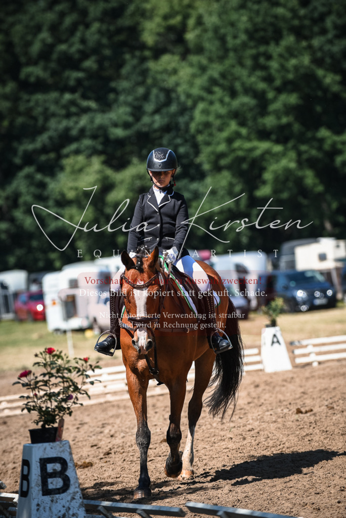 DSC_3427 | Pferde- und Turnierfotografie in Westsachsen. Pferdeportraits, Auftragszeichnungen und intuitive Kunst.