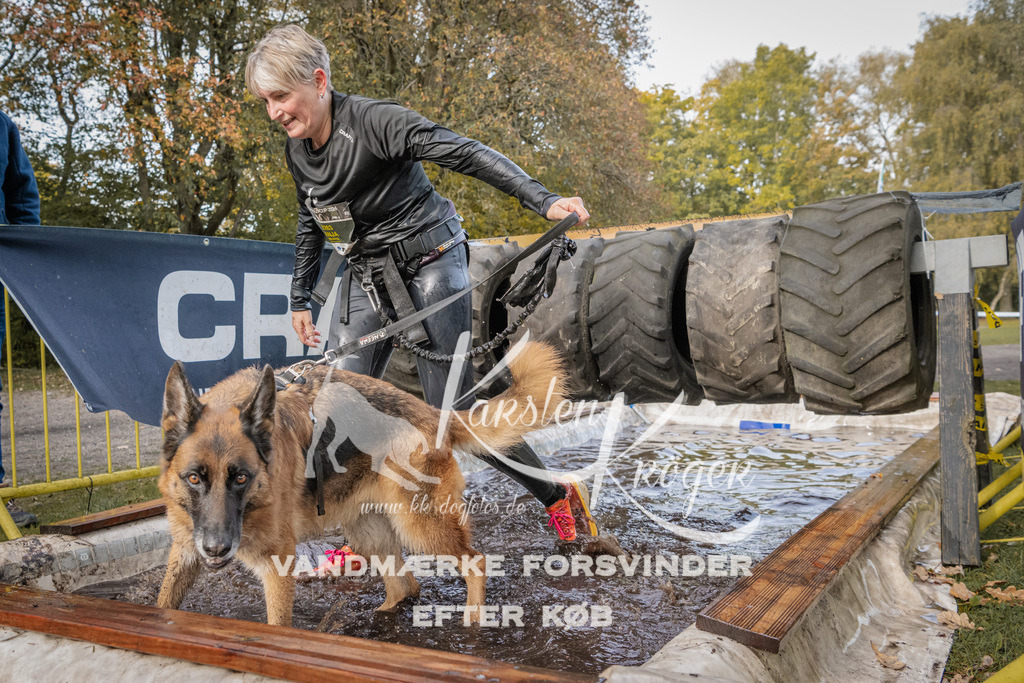 1432_ZZ94657 | kk-dogfotos