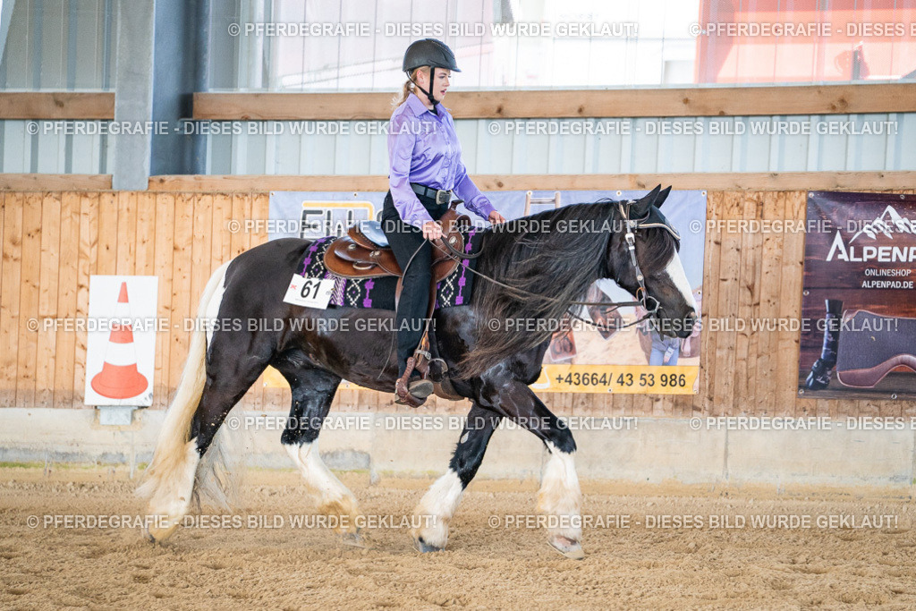 DSC03219 | Pferdegrafie