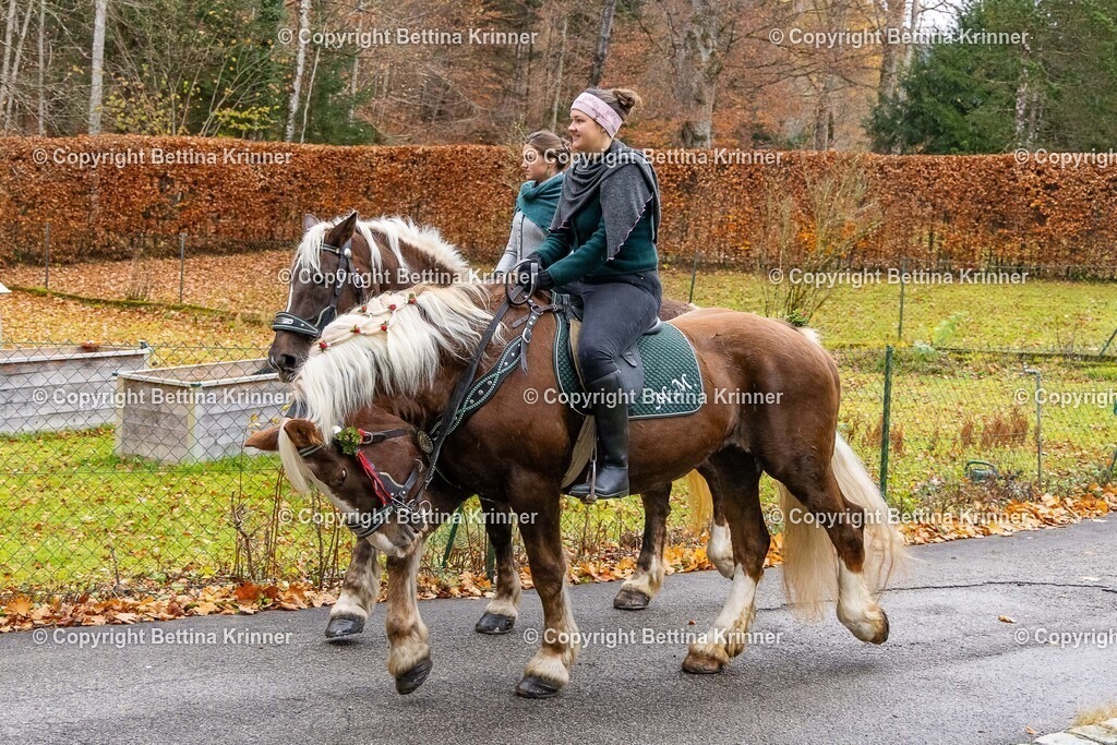 LL25-124 | foto-bettina-krinner - Realisiert mit Pictrs.com