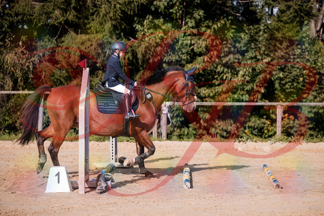 2026_10_03_Siefer-Hof_143734_Z81_06262703 | Professionelle Reitsport-, Turnier- und Eventfotografie von Robert Broda. Galerien mit ausgewählten und bearbeiteten Bildern direkt online ansehen und bestellen.