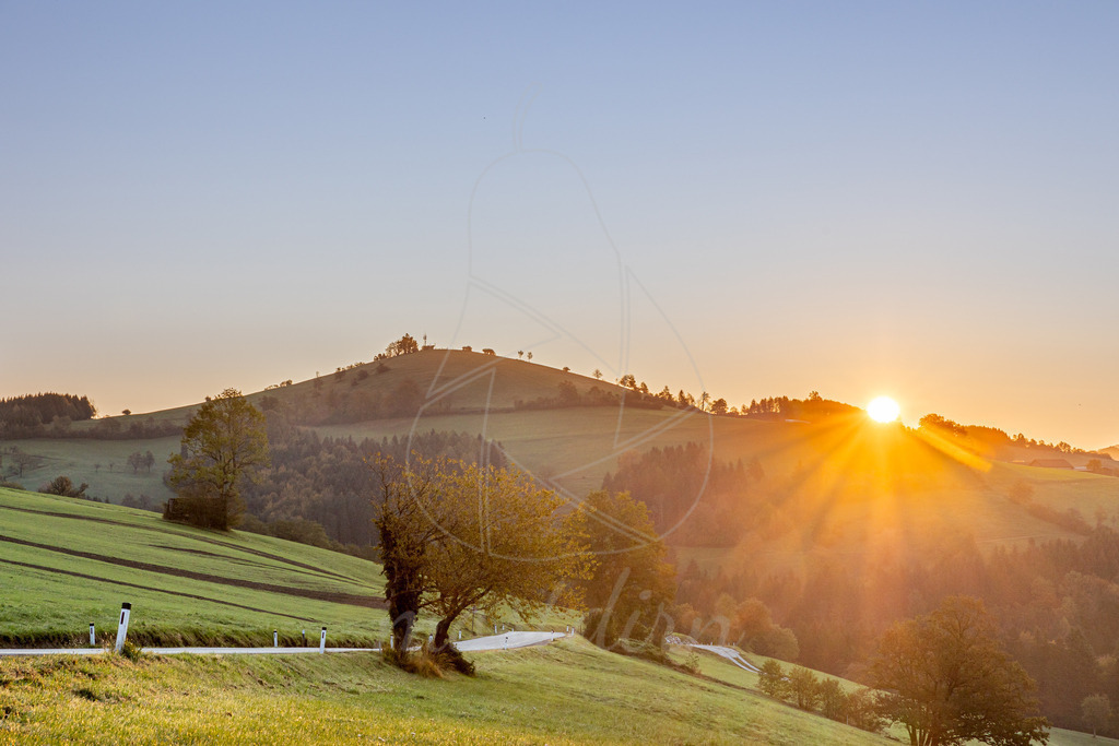Herbstsonne am Hochkogelberg | Ihre Fotografin im Lungau, ihre Fotografin im Mostviertel, Wandbilder Onlineshop, Imagefotos für Ihr Unternehmen,  - Realisiert mit Pictrs.com