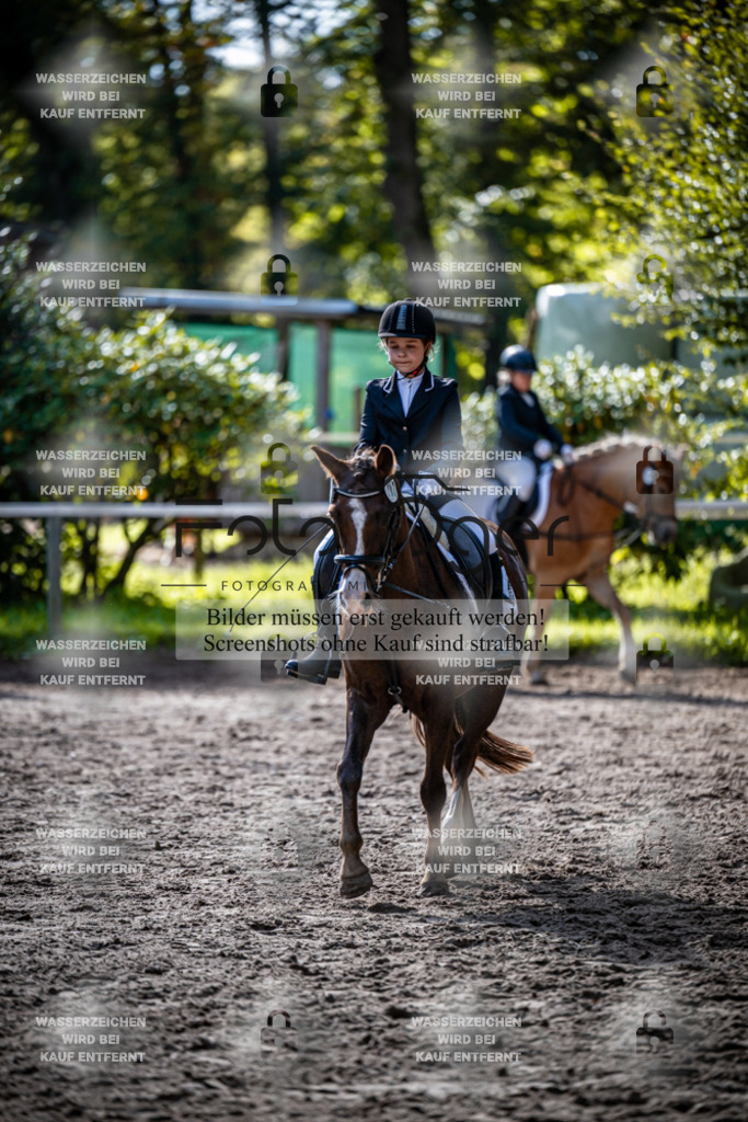 2026-10-Helle-20-4-0029 | Entdecke hochwertige Reitturnierfotos von Foto Oger. Professionell, emotional und authentisch – jetzt Lieblingsmomente im Shop bestellen.Deutschlandweite Turnierfotografie. - Realisiert mit Pictrs.com