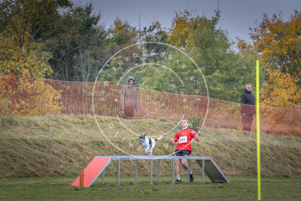 Pfotenfotografie_DV3A0596 | Hundefotografie, Tierfotograf, Pfotenfotografie, Fotoshooting Hund, Hunde Portrait, Hundesport, Hundeportraits, Heideshooting, Hunde, Sportfotograf, Hundefotograf, Turnierhundsport, THS,  - Realisiert mit Pictrs.com