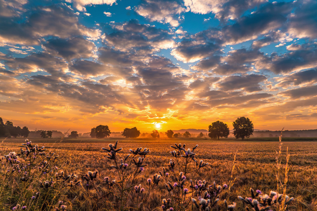 P1010403 | Bilder-Onlineshop für Heimatbilder vom Schwarzwald und Oberrhein. Galeriebilder auf Acrylglas, Alu-Dibond, Leinwand und Poster online bestellen. Der Schwarzwald als Wandbild für Ihr Zuhause! | Art, Kunst, Wandbilder, Black Forest, Deko - Realisiert mit Pictrs.com