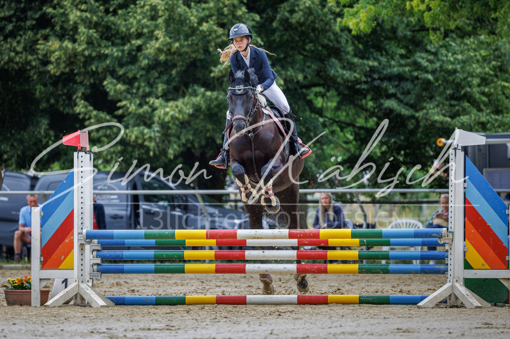 20260705-_3LI3579 | Tierfotografie Pferde, Hunde, Katzen, Haustiere.
Turnierfotografie Reitturniere, Reiten, Springreiten, Dressur in Hanau, dem Main-Kinzig-Kreis und dem Rhein-Main- Gebiet um Frankfurt