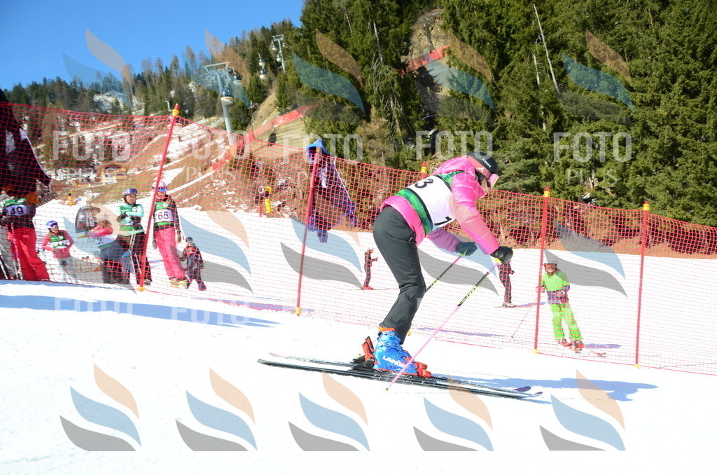 C6060 | holidayphoto