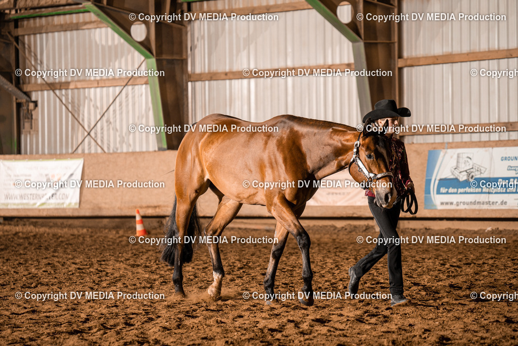 BAL01168 | dv-media-shop - Realisiert mit Pictrs.com