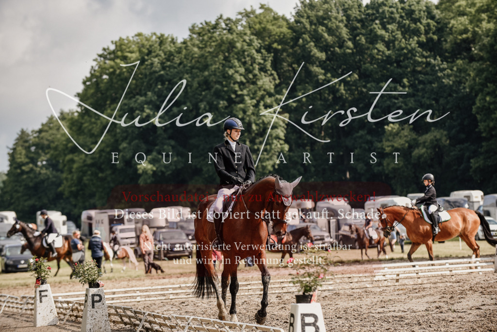 DSC_9066 | Pferde- und Turnierfotografie in Westsachsen. Pferdeportraits, Auftragszeichnungen und intuitive Kunst.