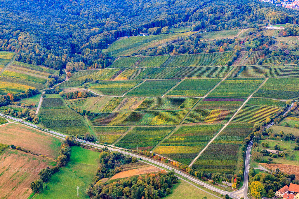 Luftbild: Weinberge am Haardtrand in Dörrenbach im Bundesland Rheinland-Pfalz in Deutschland. Foto: IMG_22428.jpg vom 15.10.2009 durch Werner Riehm/FLY-FOTO.de