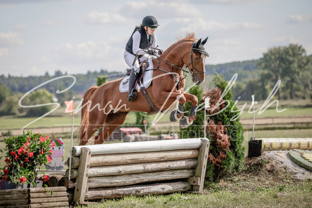 20250906-_3LI6874 | Tierfotografie Pferde, Hunde, Katzen, Haustiere.
Turnierfotografie Reitturniere, Reiten, Springreiten, Dressur in Hanau, dem Main-Kinzig-Kreis und dem Rhein-Main- Gebiet um Frankfurt