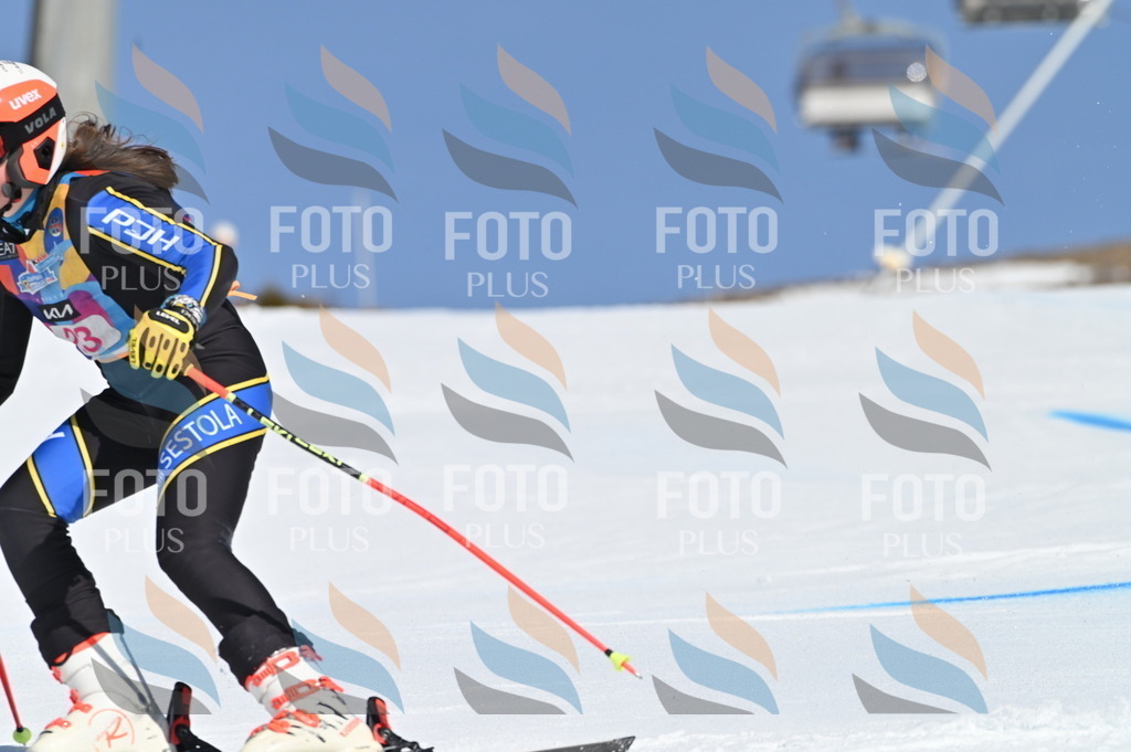 BGV_8012 | holidayphoto