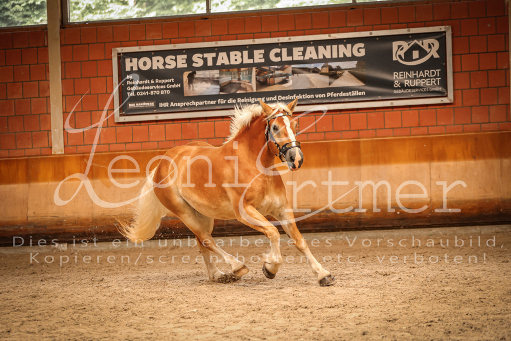 SaFL00227 | Leoni Ertmer Photography - Realisiert mit Pictrs.com