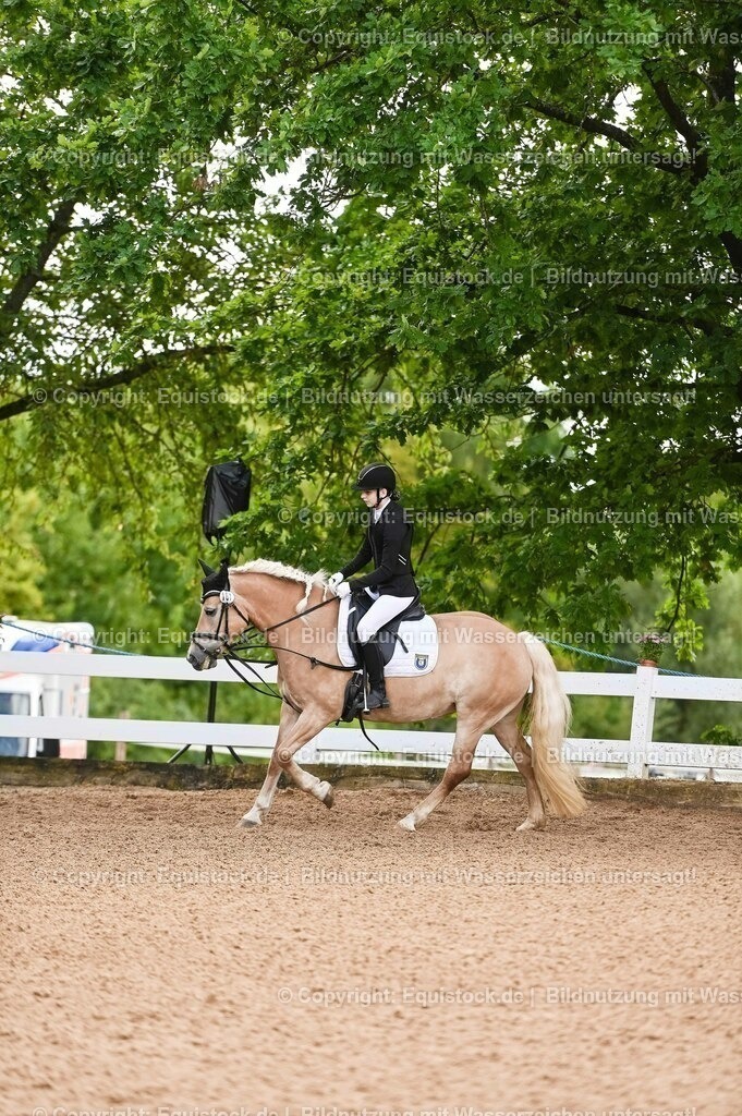 20230716_10-1_Reiter-WB Schritt - Trab - Galopp_0224 | equistock