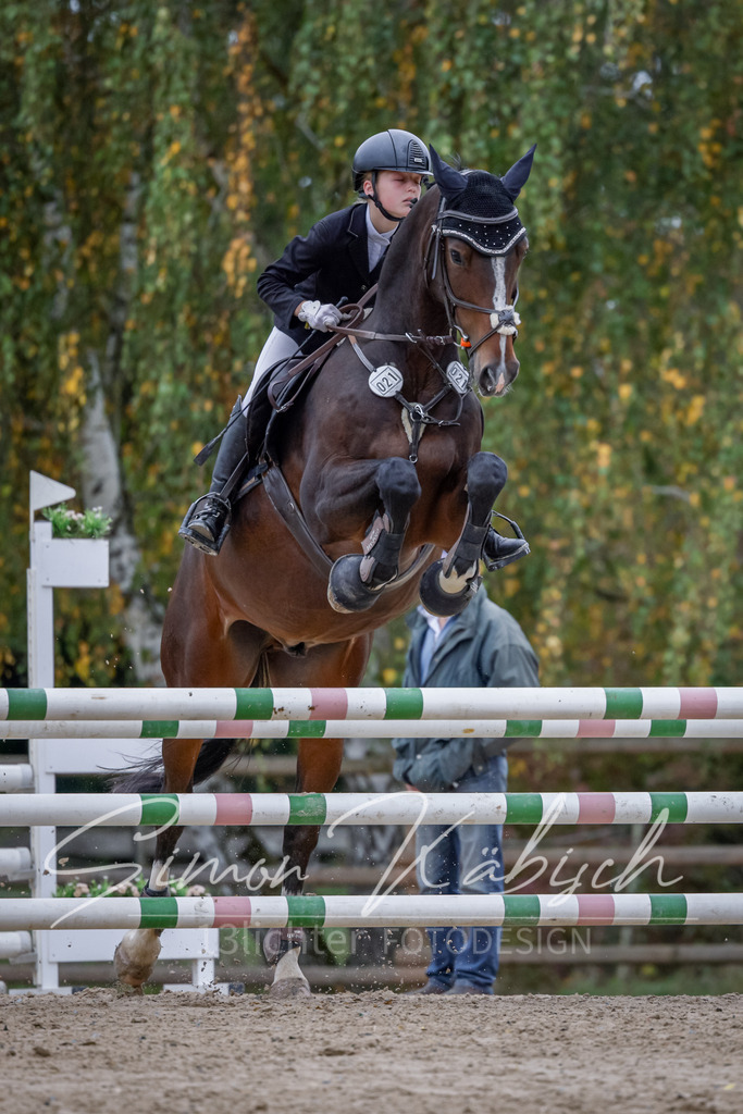 20251012-_3LI4333 | Tierfotografie Pferde, Hunde, Katzen, Haustiere.
Turnierfotografie Reitturniere, Reiten, Springreiten, Dressur in Hanau, dem Main-Kinzig-Kreis und dem Rhein-Main- Gebiet um Frankfurt
