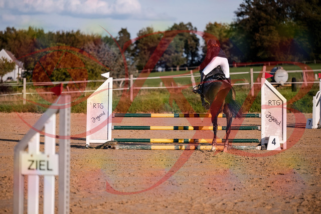2026_10_03_Siefer-Hof_171906_Z81_17138653 | Professionelle Reitsport-, Turnier- und Eventfotografie von Robert Broda. Galerien mit ausgewählten und bearbeiteten Bildern direkt online ansehen und bestellen.
