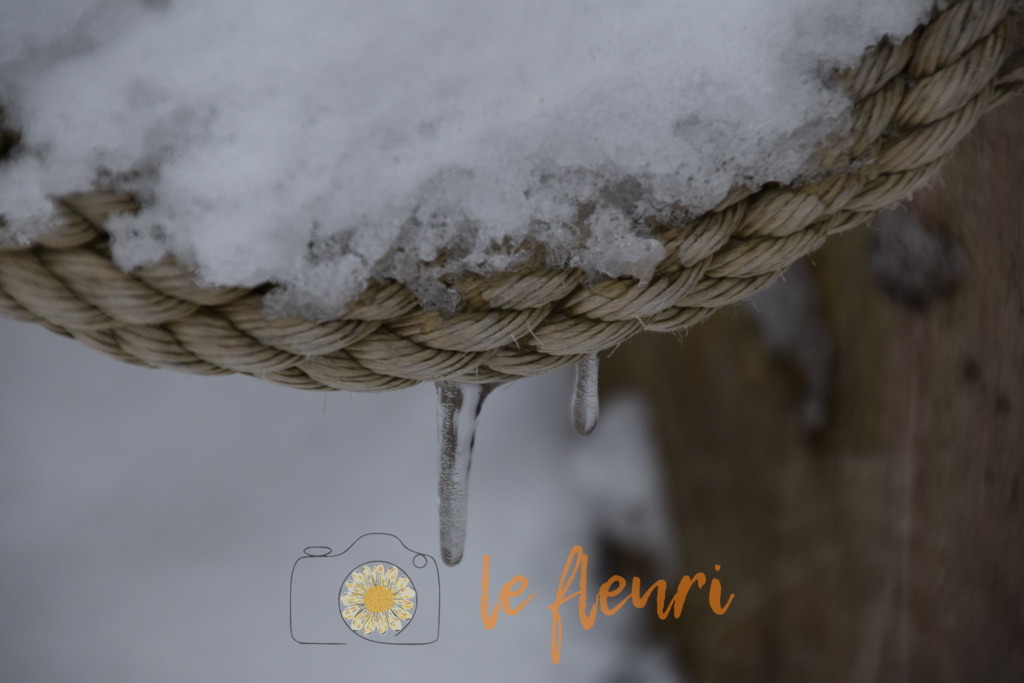 DSC_0260 | Dies ist der Shop von Florian Blum - le fleuri. Langenthal, Bern, Schweiz. Sie können hier meine oder ihre eigenen Fotos als Fotoprodukte kaufen. Tassen, Schlüsselanhänger, Taschen etc. können Sie hier gestalten.  - Realisiert mit Pictrs.com