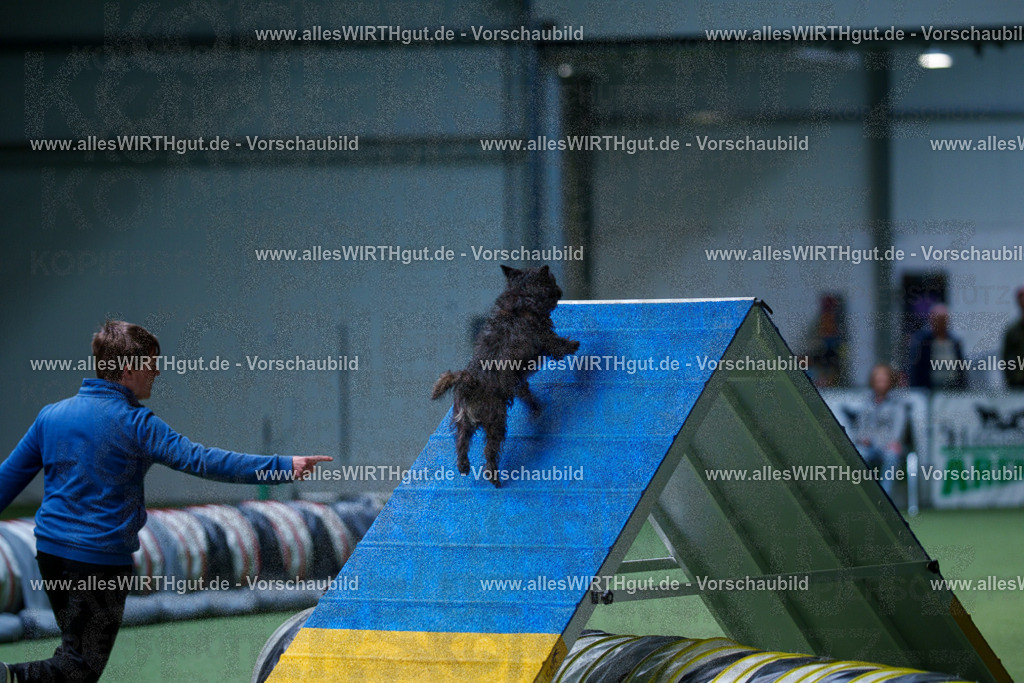 @allesWIRTHgut_Tierfotografie - www.allesWIRTHgut.de - 2604251304-7R503558 | Professionelle Tierfotografie in Mönchengladbach von Daniel Wirth (allesWIRTHgut). Liebevolle & natürliche Bilder von Hunden & Katzen für unvergessliche Erinnerungen.
