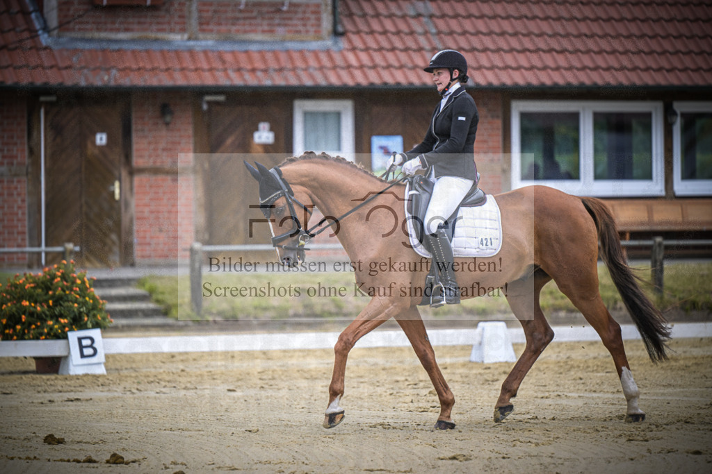 DOS_1894 | Entdecke hochwertige Reitturnierfotos von Foto Oger. Professionell, emotional und authentisch – jetzt Lieblingsmomente im Shop bestellen.Deutschlandweite Turnierfotografie. - Realisiert mit Pictrs.com