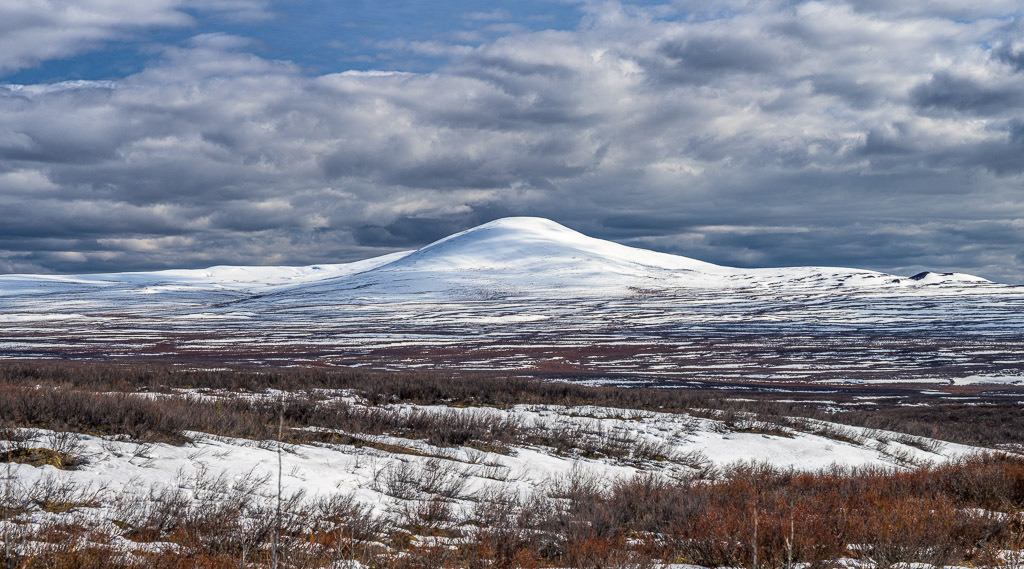 Alaska | Denali Highway - Realisiert mit Pictrs.com