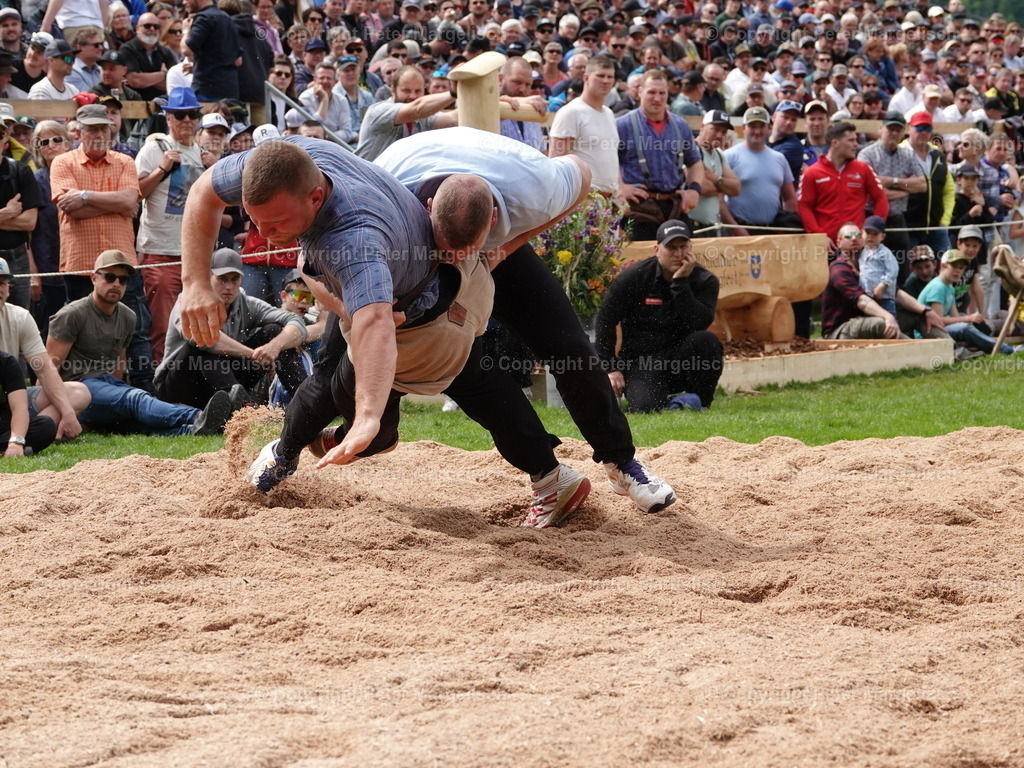 DSC07225 | Schwingen - Realisiert mit Pictrs.com