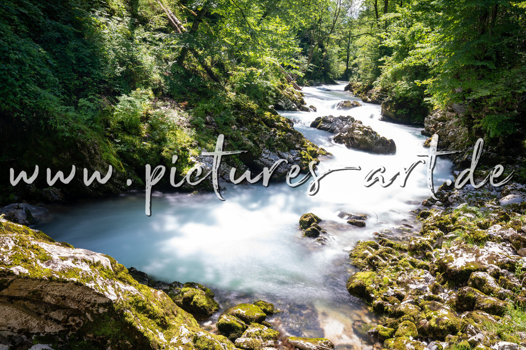 DSC09760 | pictures-art.de