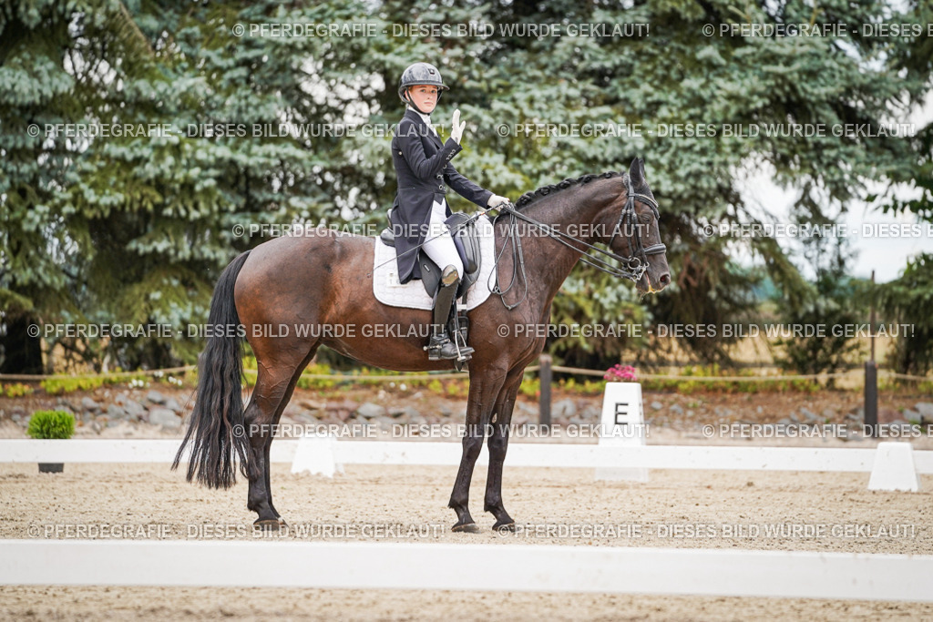 DSC07151 | Pferdegrafie