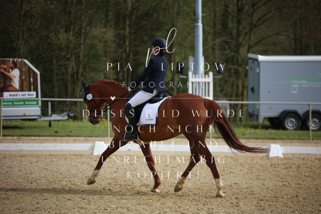 IMGT6773 | pl-fotografie