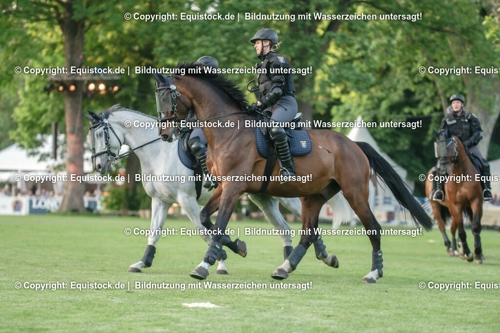 20230526_Pferdenacht_0413 | equistock